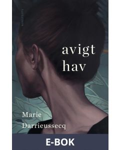 Avigt hav, E-bok