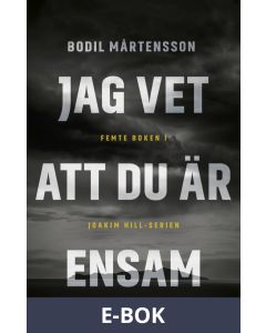Jag vet att du är ensam, E-bok
