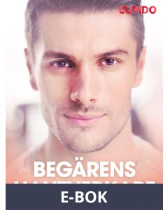 Begärens hantverkare - erotiska noveller, E-bok