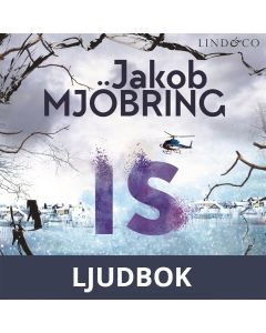 Is, Ljudbok