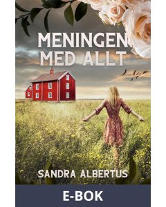 Meningen med allt, E-bok
