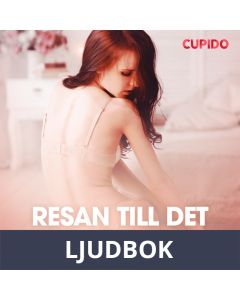 Resan till det stora äventyret - erotiska noveller, Ljudbok