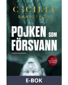 Pojken som försvann, E-bok