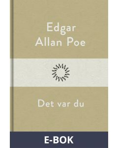 Det var du, E-bok
