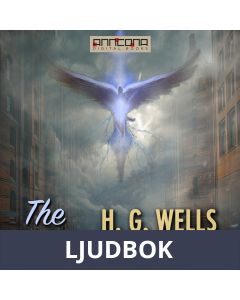 The Wonderful Visit, Ljudbok