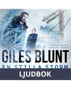 En stilla storm, Ljudbok