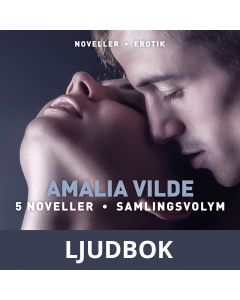 Amalia Vilde 5 noveller samlingsvolym, Ljudbok