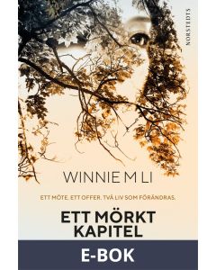 Ett mörkt kapitel, E-bok