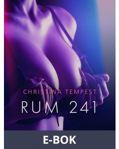 Rum 241 - erotisk novell, E-bok