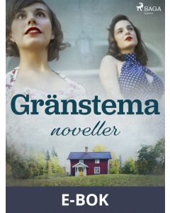 Gränstema: noveller, E-bok