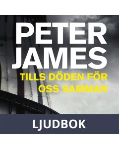 Tills döden för oss samman, Ljudbok