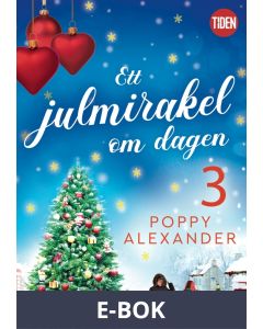 Ett julmirakel om dagen - del 3, E-bok