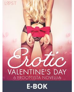 Erotic Valentine s Day - 6 eroottista novellia, E-bok