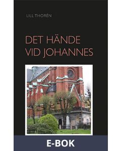 Det Hände Vid Johannes, E-bok