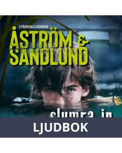 Slumra in, Ljudbok