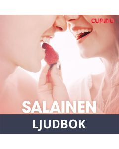 Salainen sopimus, Ljudbok