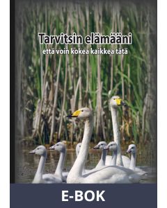 Tarvitsin elämääni: että voin kokea kaikkea tätä, E-bok