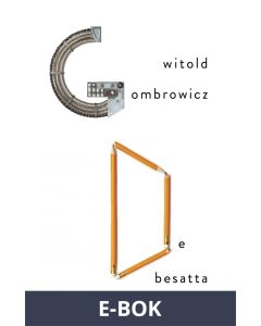 De besatta, E-bok