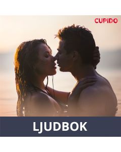 Fjällets fröjder, Ljudbok