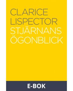 Stjärnans ögonblick, E-bok