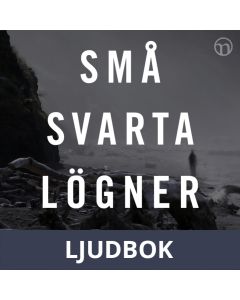 Små svarta lögner, Ljudbok