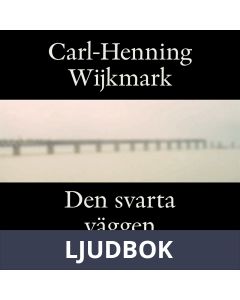 Den svarta väggen : roman, Ljudbok