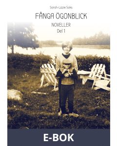 Fånga ögonblick: Noveller del 1, E-bok