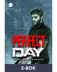 Perfect Day, E-bok
