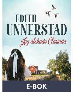 Jag älskade Clarinda, E-bok