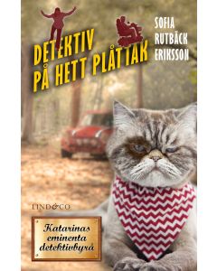 Detektiv på hett plåttak