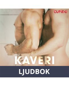 Kaveri suihkussa, Ljudbok