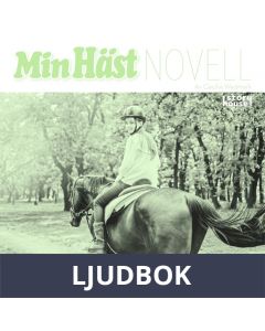 Utegångsförbudet, Ljudbok