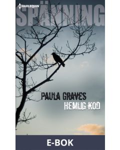 Hemlig kod, E-bok