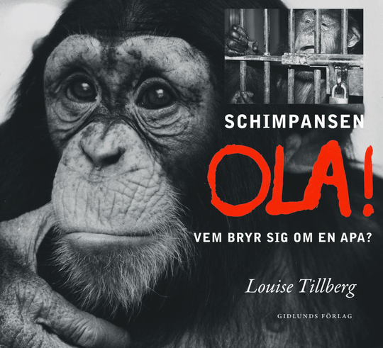 Schimpansen Ola - Vem Bryr Sig Om En Apa?