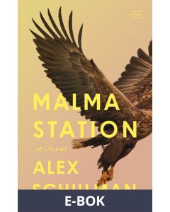 Malma station, E-bok