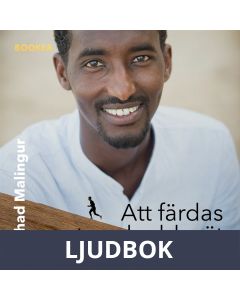 Att färdas utan skyddsnät, Ljudbok