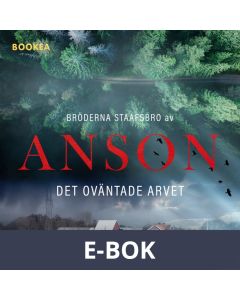 Bröderna Staafsbro: Det oväntade arvet, E-bok