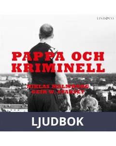 Pappa och kriminell, Ljudbok