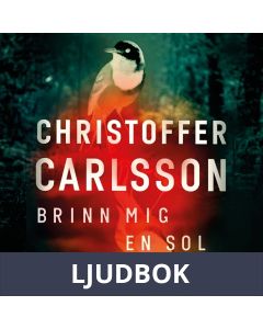 Brinn mig en sol, Ljudbok