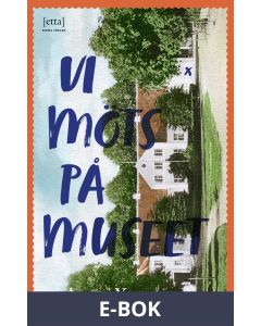 Vi möts på museet, E-bok
