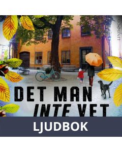Det man inte vet, Ljudbok