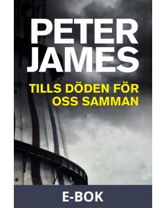 Tills döden för oss samman, E-bok