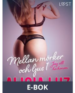 Mellan mörker och ljus 1: Jag vill ha honom - erotisk novell, E-bok