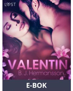 Valentin - eroottinen novelli, E-bok
