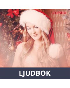 Joulukonsertti - eroottinen novelli, Ljudbok