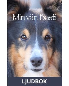 Min vän Basti, Ljudbok