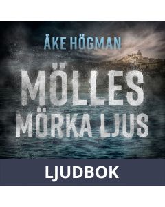 Mölles mörka ljus, Ljudbok