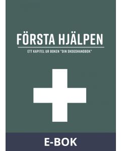 Första hjälpen (PDF), E-bok