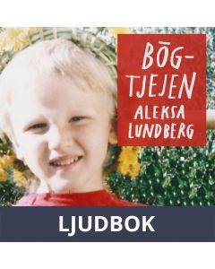 Bögtjejen, Ljudbok