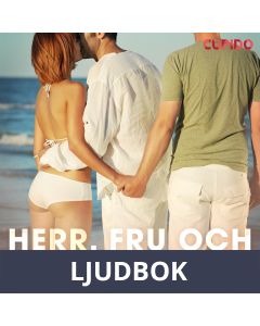 Herr, fru och främlingen, Ljudbok